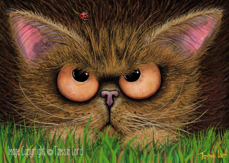 Original Painting: 'Eyebrow Tightrope!'