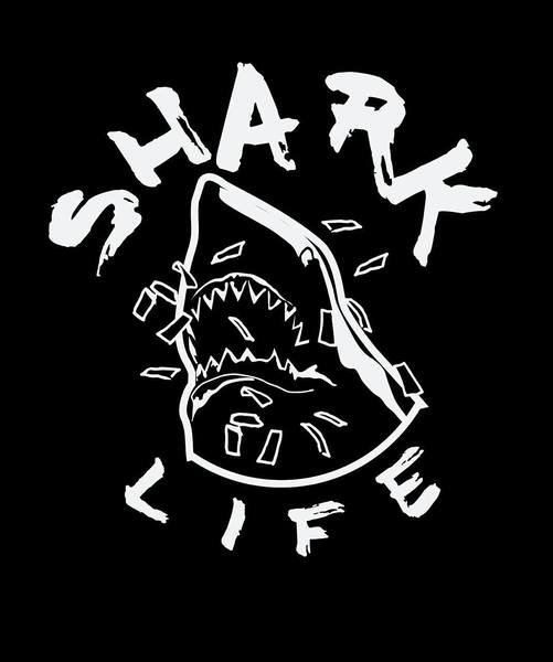 SLMS