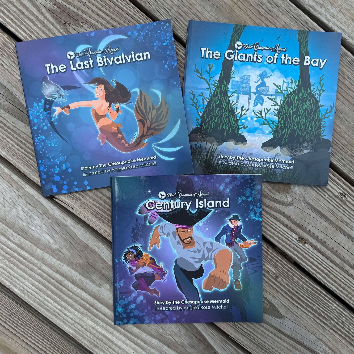 The Story Shell Bundle - Shop - The Chesapeake Mermaid