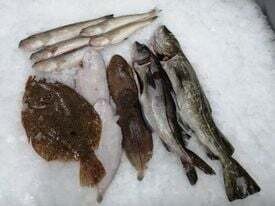 CADEAUTIP: VERRASSINGSPAKKET... Laat je verrassen door onze Catch of The Day Verse Vis. Panklaar à 65 €/ Mix Panklaar &amp; Filet à 75 €/ Filet à 95 €.