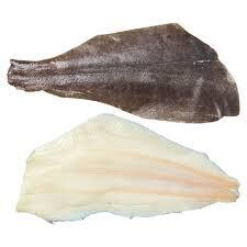 ZWARTE HELIBOT FILET DV 32,50 €/KG - WITTE HEILBOT FILET VERS +VEL 48,00 €/KG