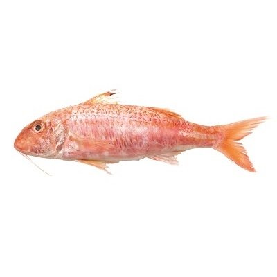 ZEEBARBEEL à 15,00 €/kg - ZWARTE HELIBOT FILET DV à 29,00 €/kg ZEEBARBEEL à 15,00 €/kg - ZWARTE HELIBOT FILET DV à 29,00 €/kg