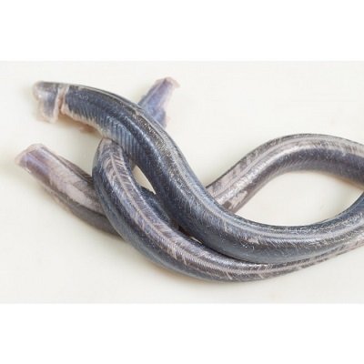 RIVIERPALING BRUT VERSE (Gratis Gekuist) RIVIERPALING BRUT VERSE (Gratis Gekuist)