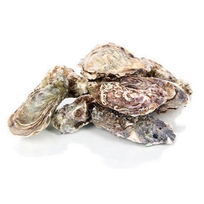 OESTERS N°3 per MANDJE per 24 of 48 stuks aan 1,50 €/Stuk OESTERS N°3 per MANDJE per 24 of 48 stuks aan 1,50 €/Stuk