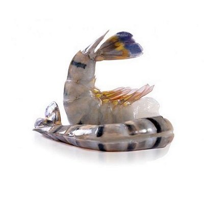 SCAMPI 16-20 EASY PEEL à 17,90 €/kg - GAMBA MAAT 16-20 à 15,00 €/kg / 13-15 à 17,90 €/kg / 8-12 à 22,50 €/KG.