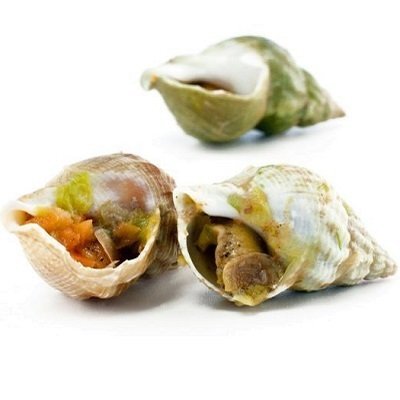 FRANSE WULKEN (BULOTS) + Verschillende Soorten Franse Schelpdieren zie onderaan onze lijst. PROMOTIE VENUS SCHELP 18€ Bulots