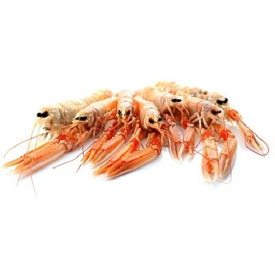 LANGOUSTINES = DAGPRIJS!