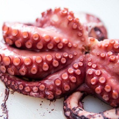 OCTOPUS VERS 18 €/KG - ZEEKAT VERS 15 €/KG - PIJLINKTVIS VERS 36,50 €/KG Octopus