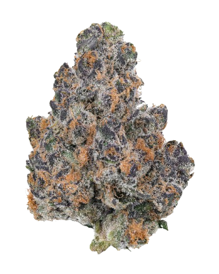 Era 3.5 Flower, Option: Apple Tartz