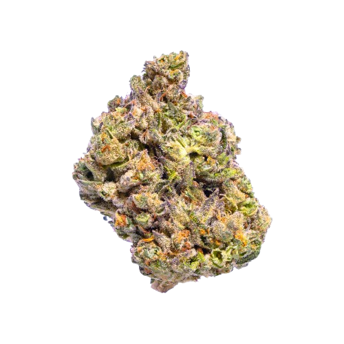 Era 3.5 Flower