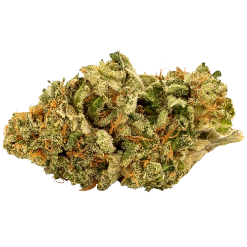 Era Half, Option: White Widow