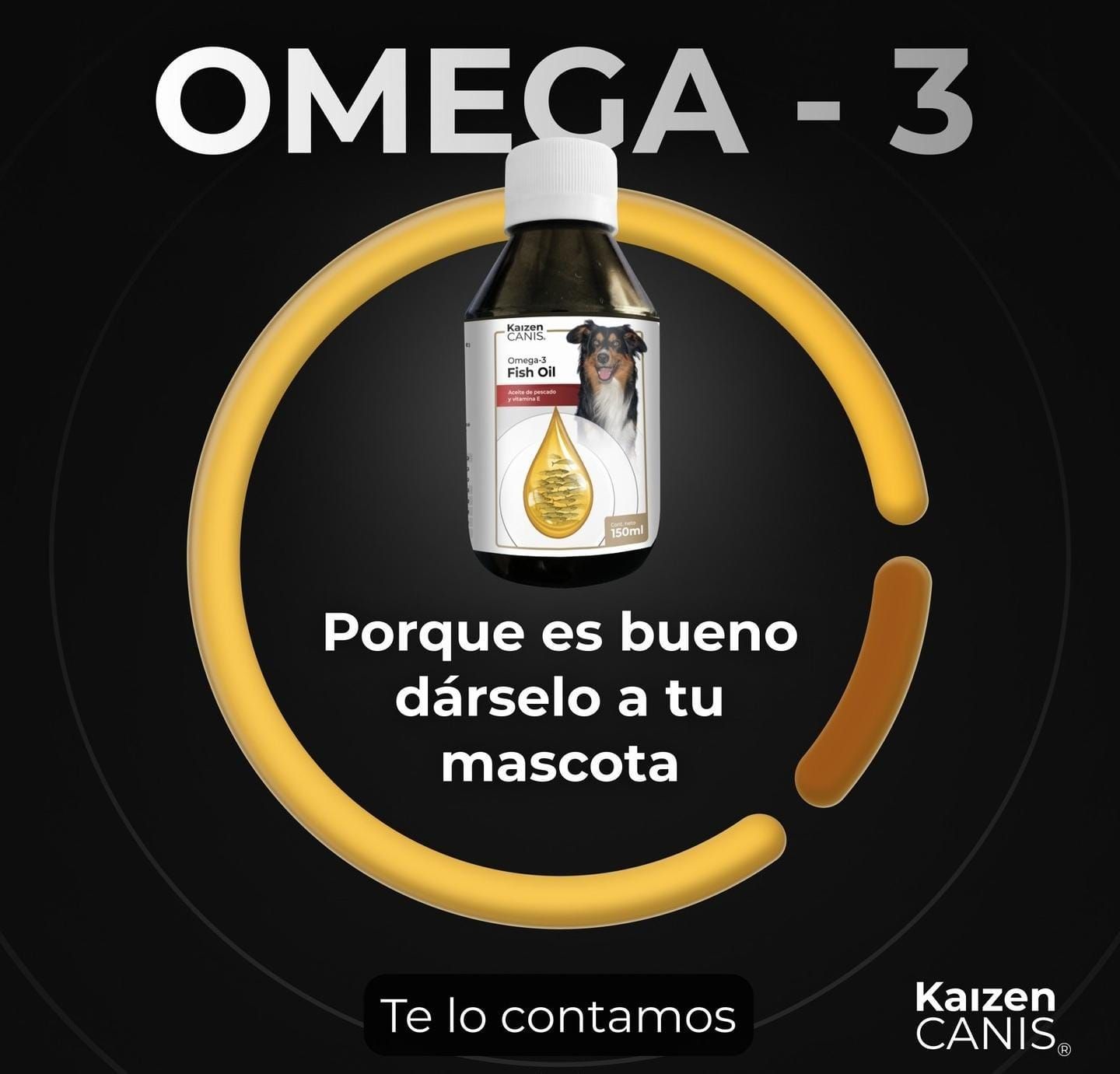 Omega 3 & 6 Balance