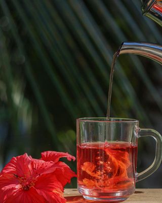 Hibiscus Tea