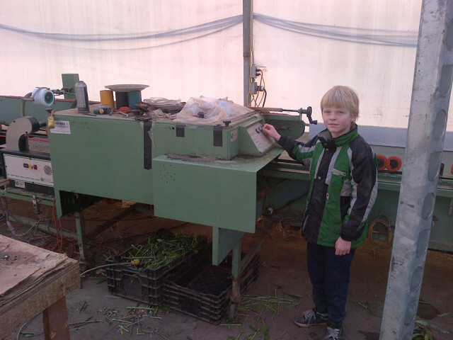 VandenBerg Cut Flower Bunching Line