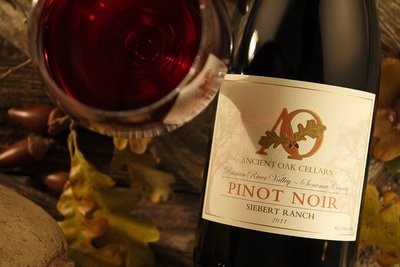 Siebert Ranch Pinot Noir | 3-bottle pack