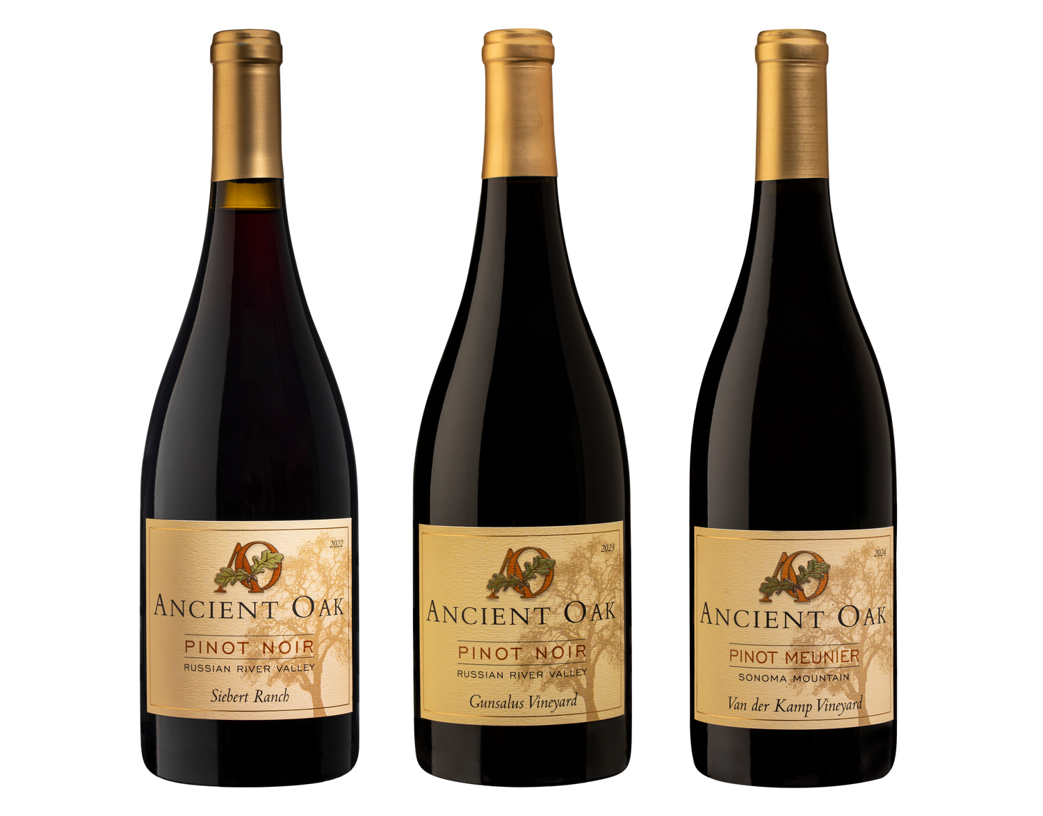 Single-vineyard Pinots (Noir and Meunier) Single-vineyard Pinots (Noir and Meunier)