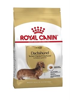 ROYAL CANIN DACHSHUND / TECKEL ADULT 1,5 KG