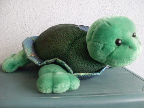Tortuga