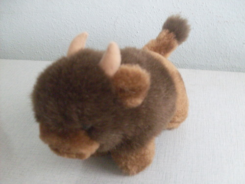buffalo