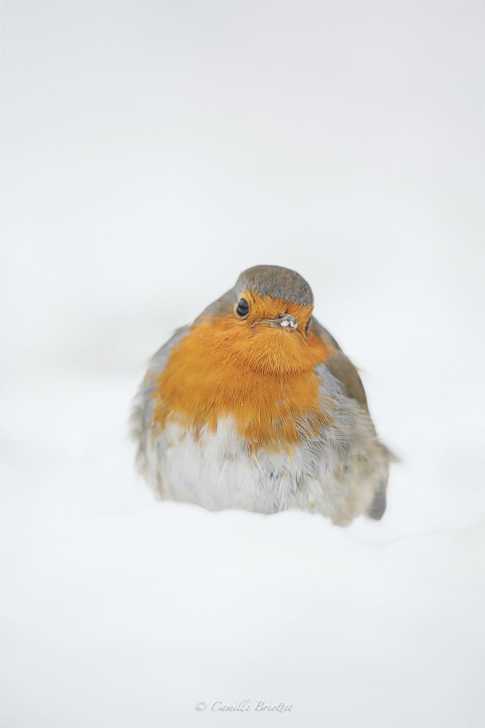 Jour de neige