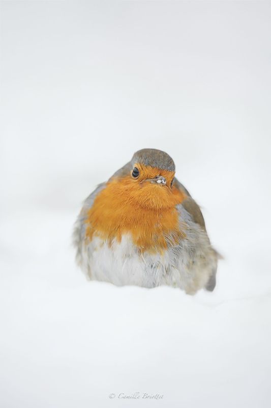 Jour de neige