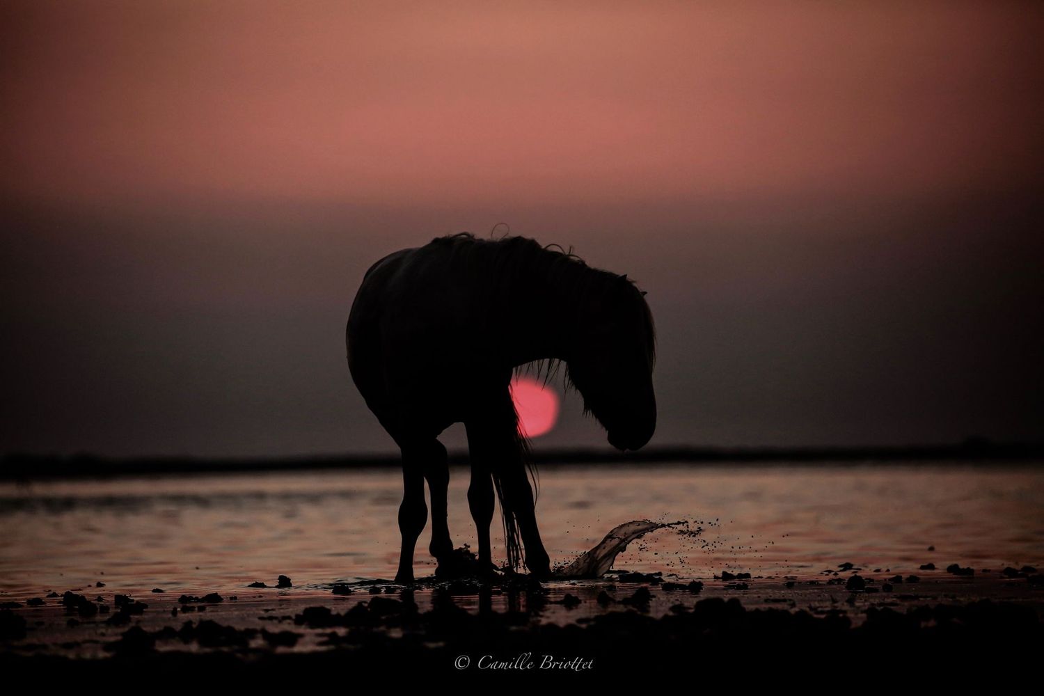 Coucher de soleil