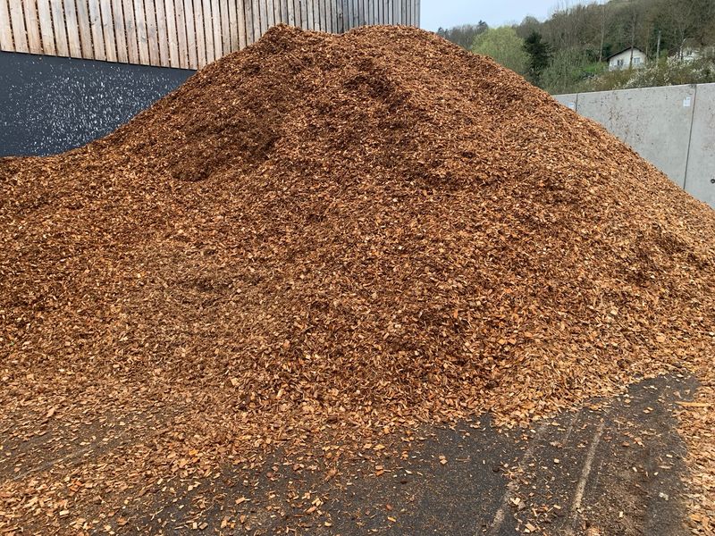 Mulch broyage peuplier 0/50