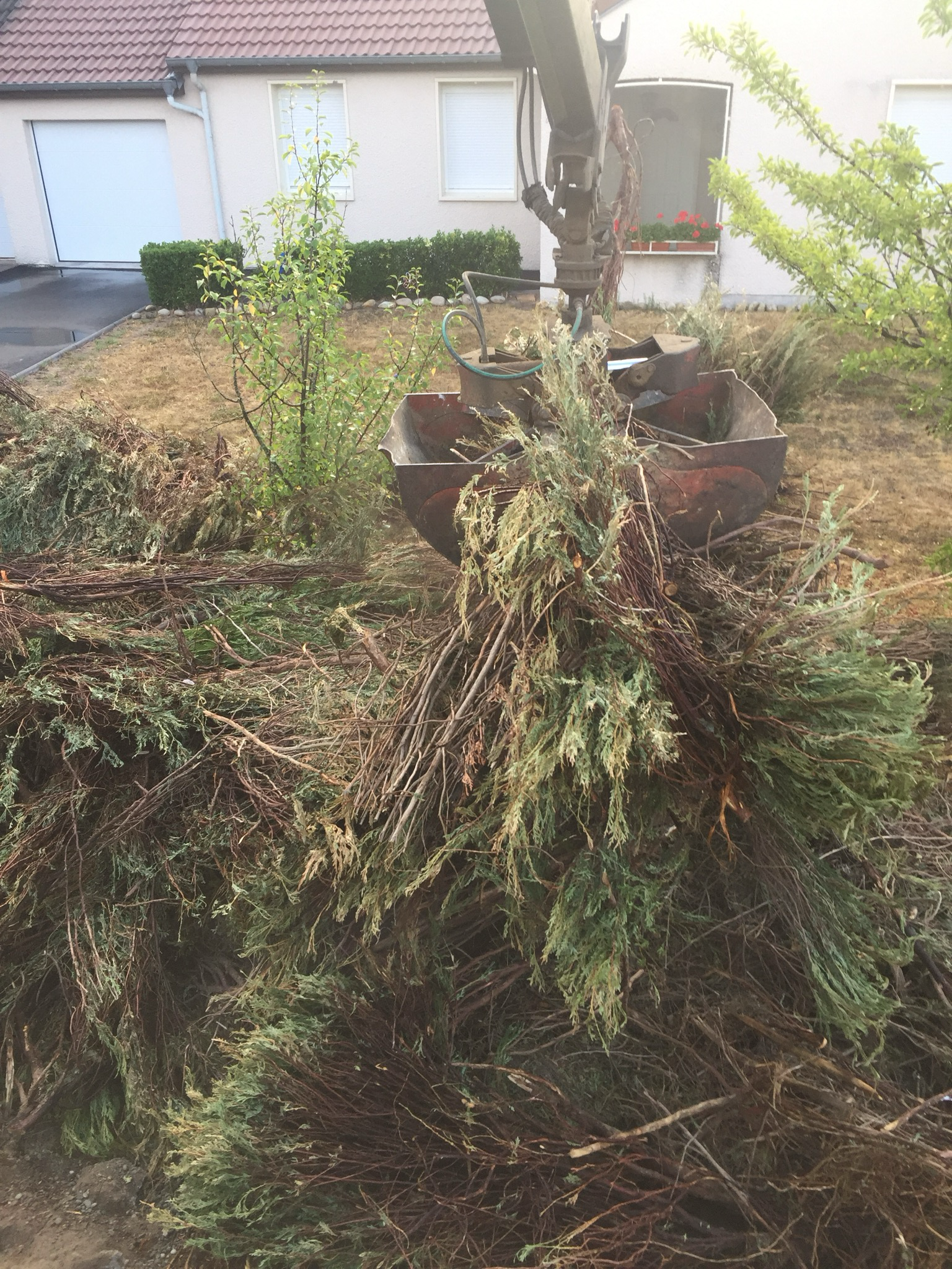 Benne de 10m3 déchets verts