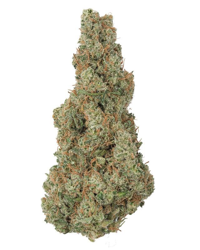 THCa Flower - Durban Poison (S)