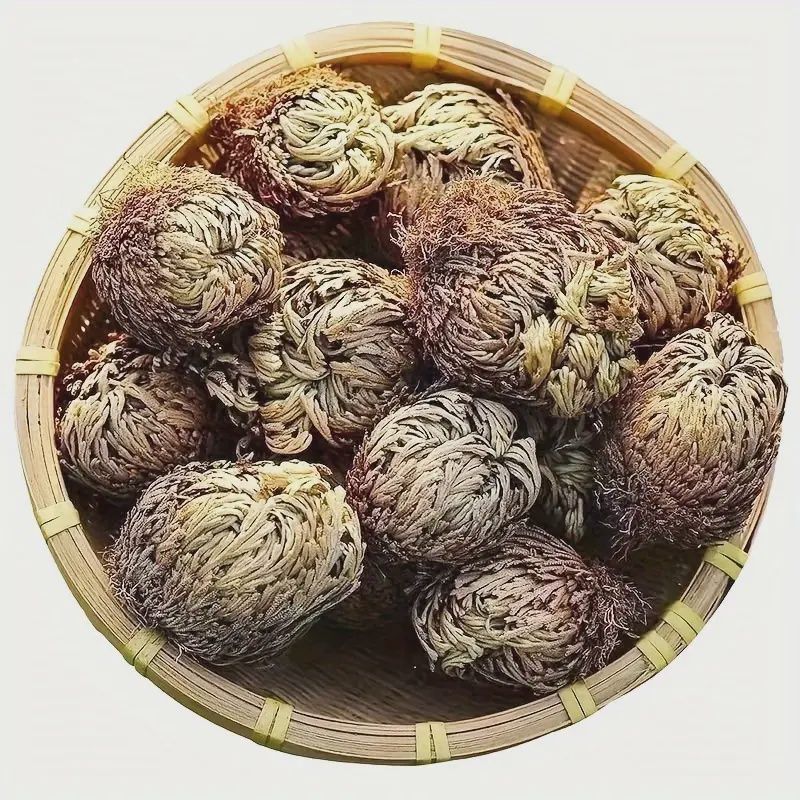 Rose of Jericho - The Resurrection Plant