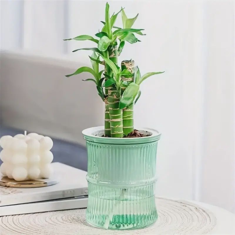 Self-watering plastic planter 4&quot;