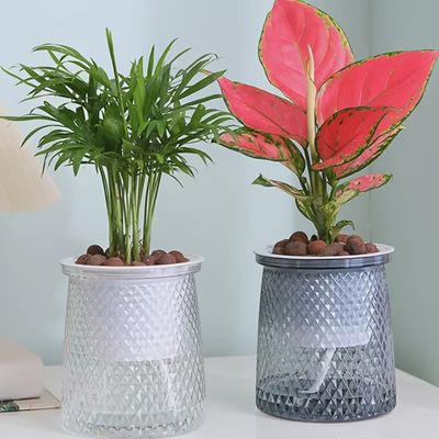 Plastic Self-watering planter - white 4&quot;