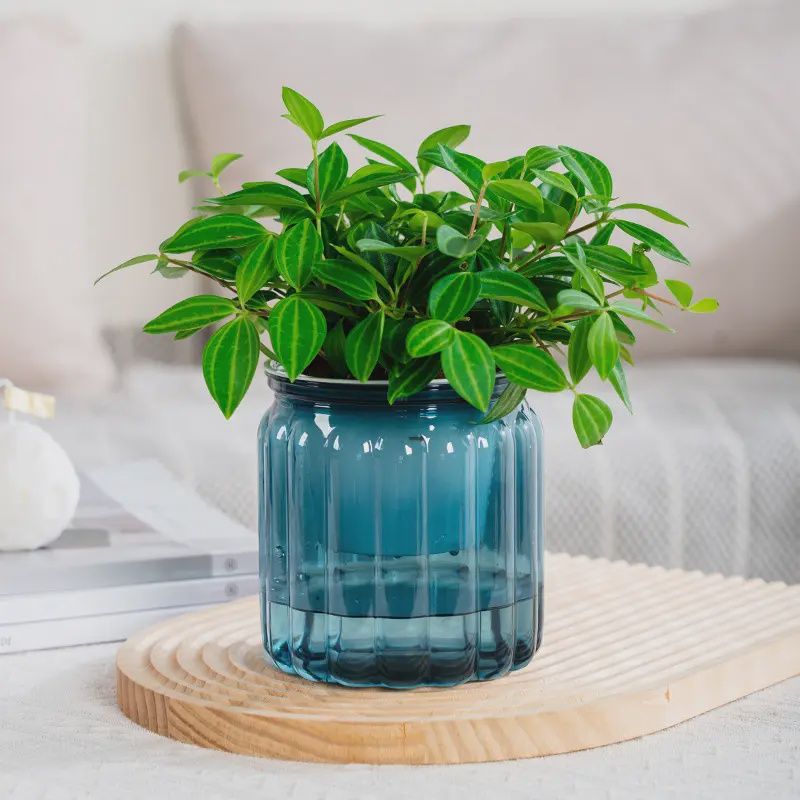 Plastic Self-Watering Planter 4&quot; Blue