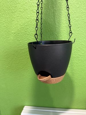 Black Hanging Planter