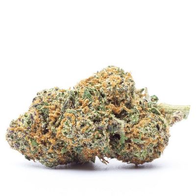 THCa Flower - Cereal Milk (H)