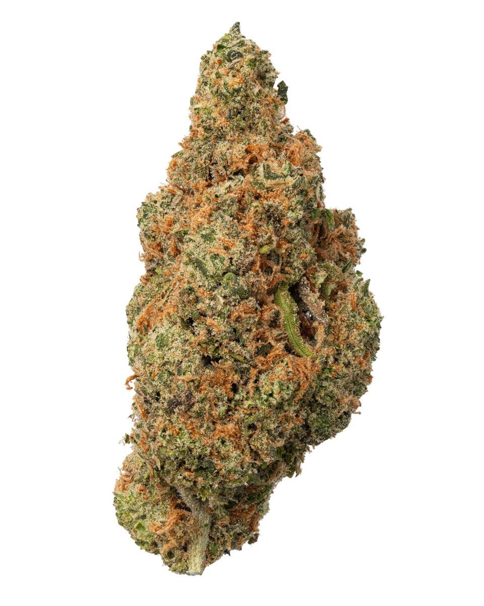 THCa Flower - Jack Herer