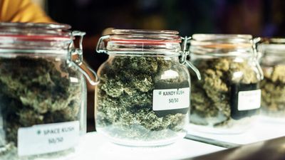 Cannabis Flowers (Bud)
