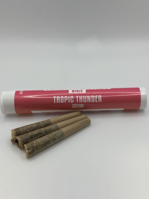 hash rocket mini/tropic thunder