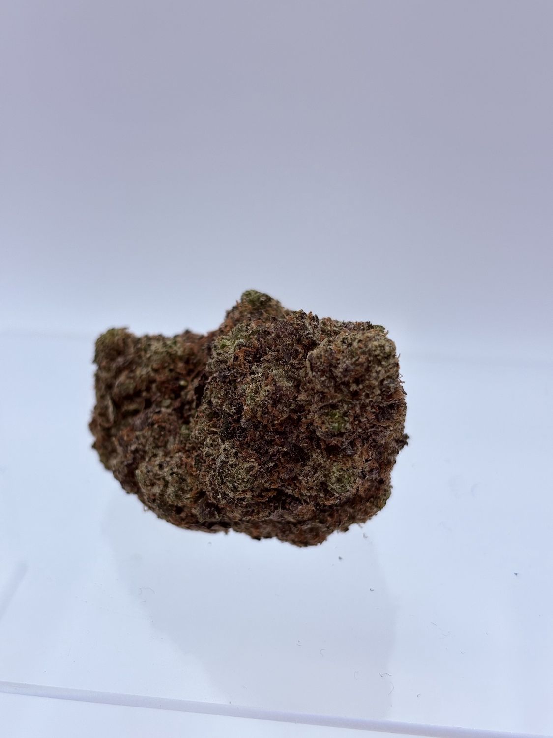BLACK TUNA