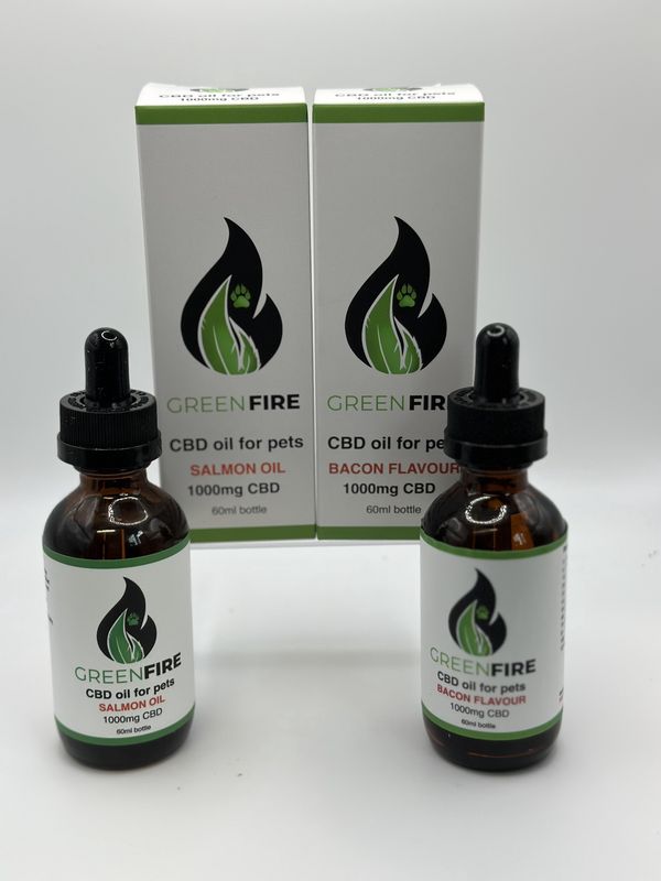 CBD Pet Oil
