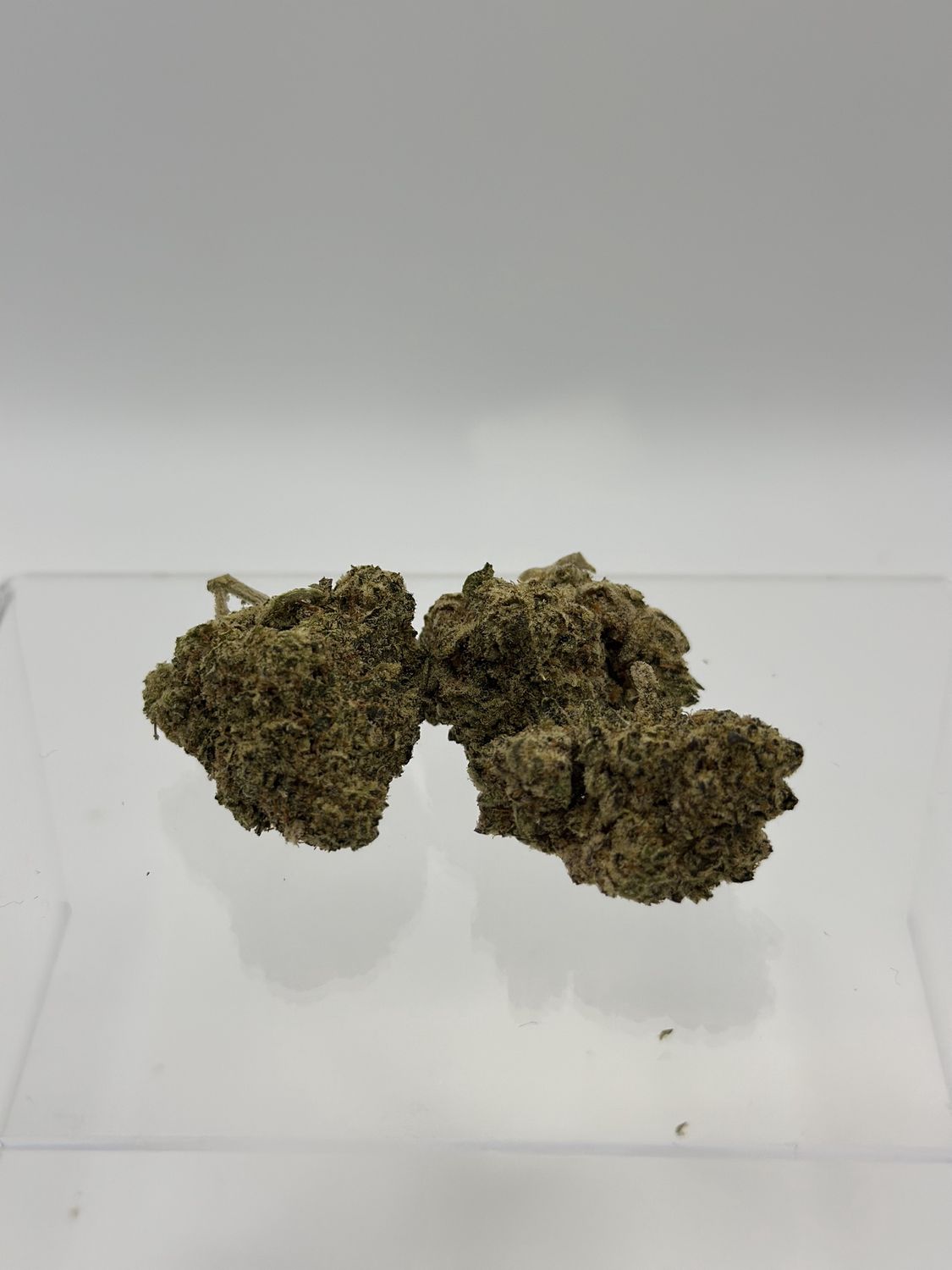 Pink Bubba