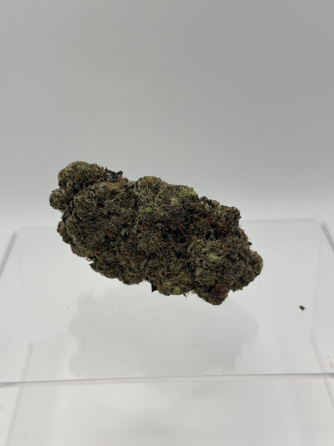 Purple Escobar