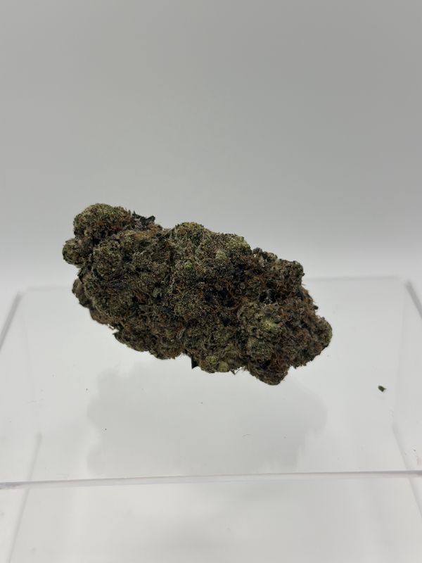Purple Escobar