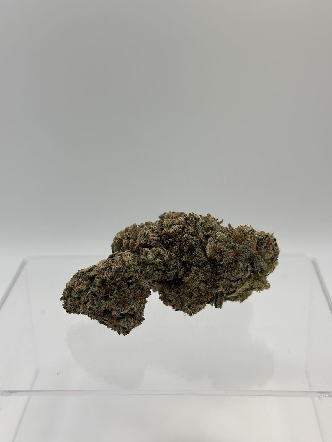 Grease Monkey
