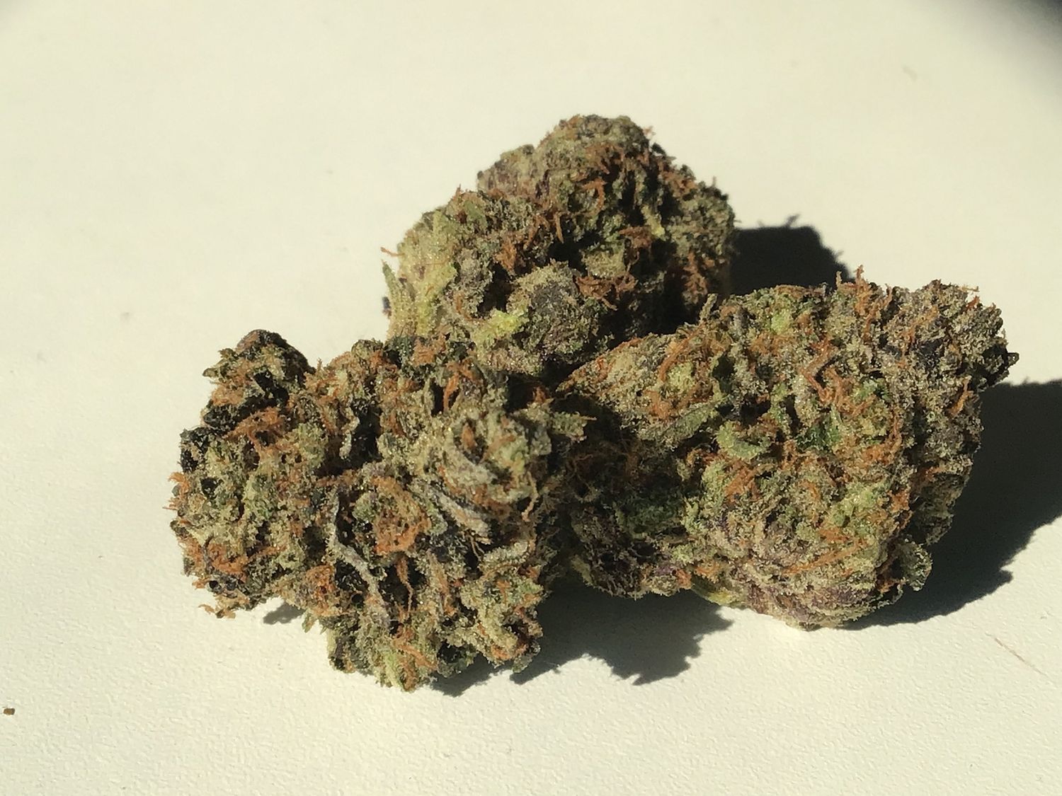 Motor Breath