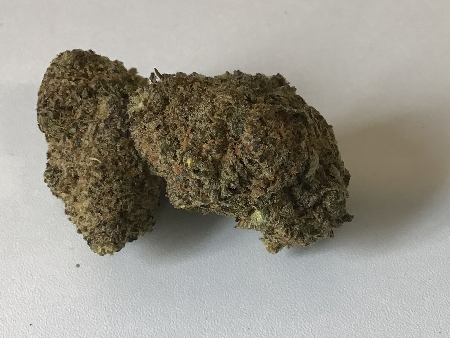 Orange Cookies
