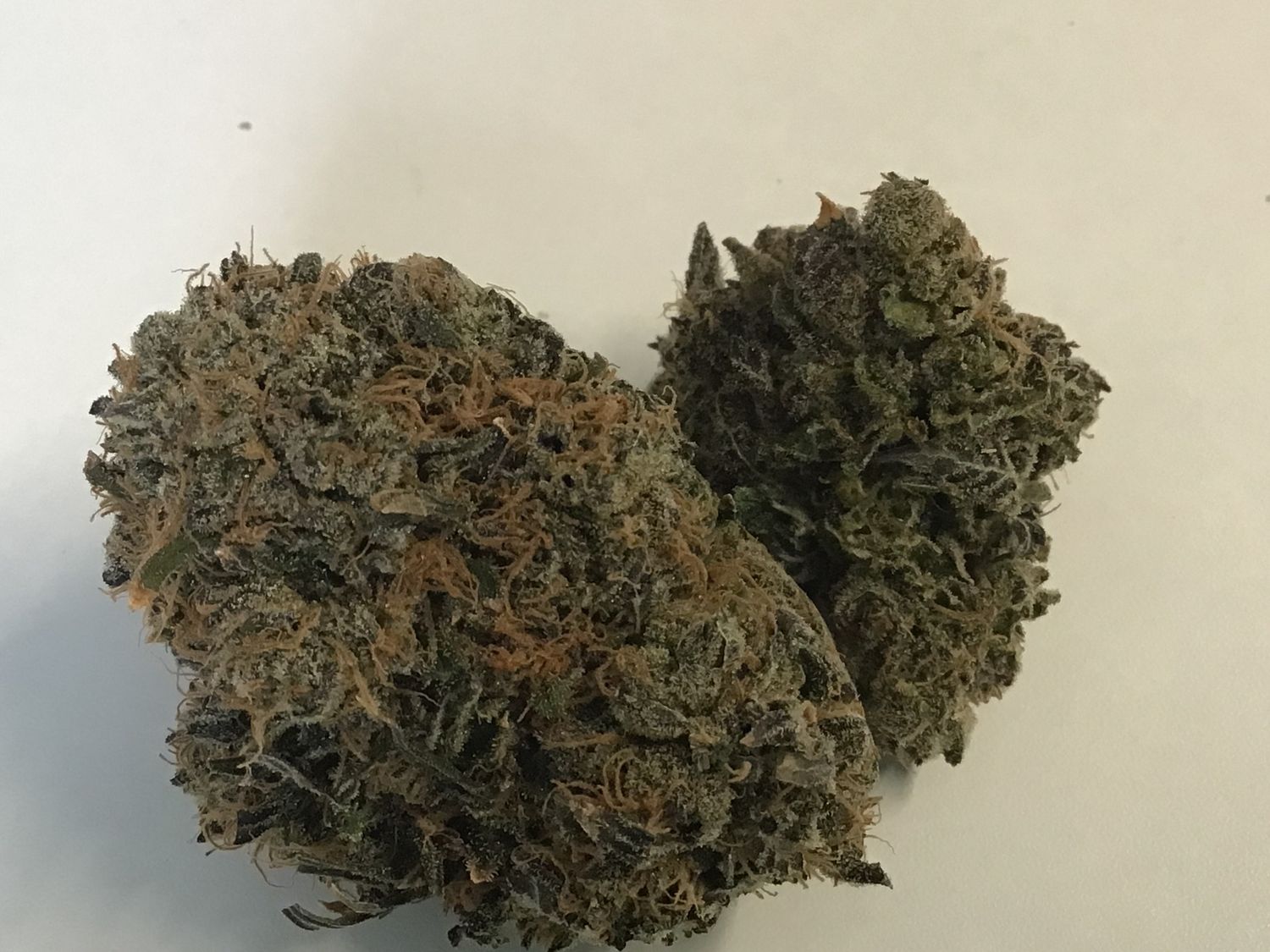 Gelato
