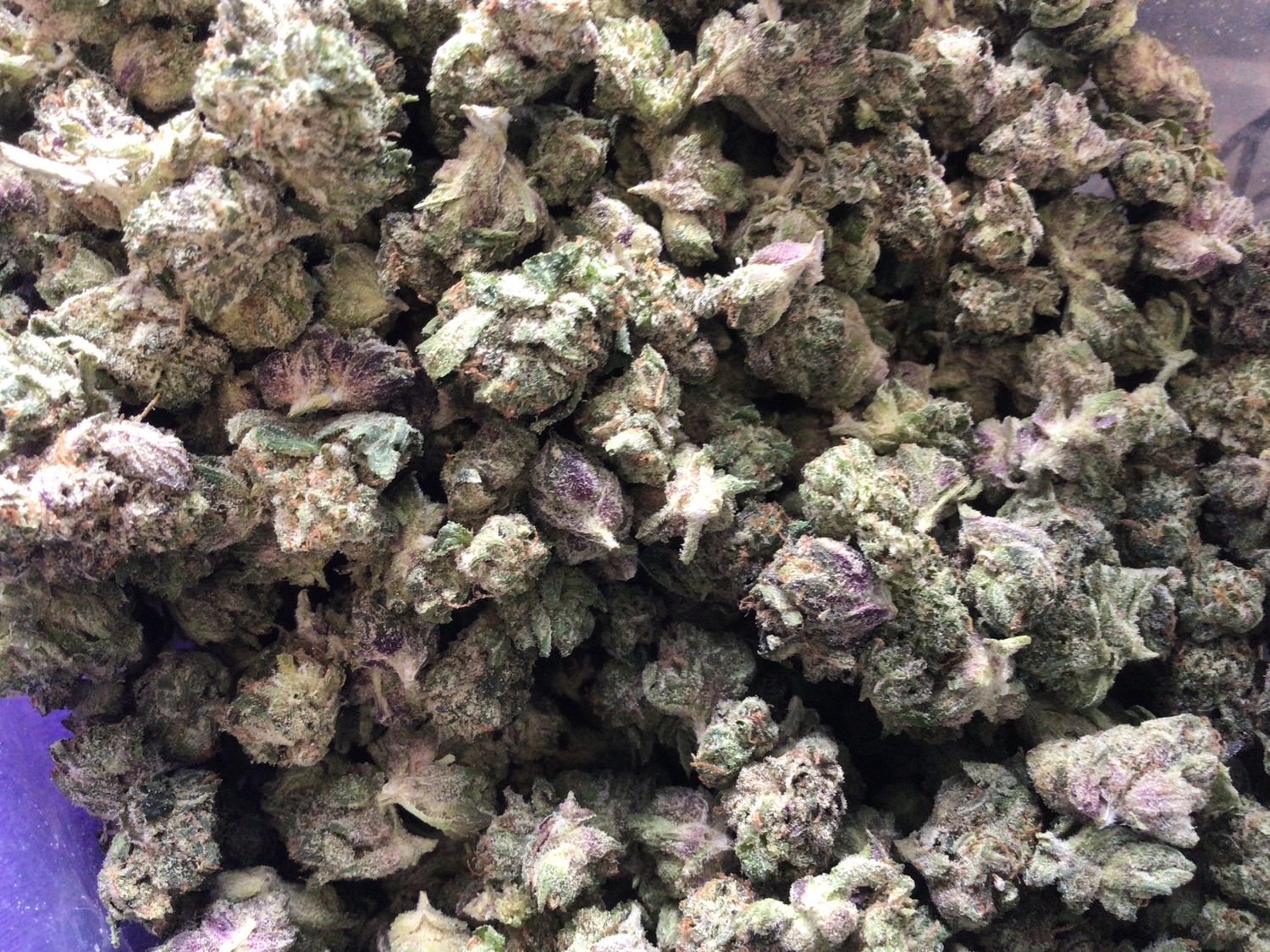 Pink Micros