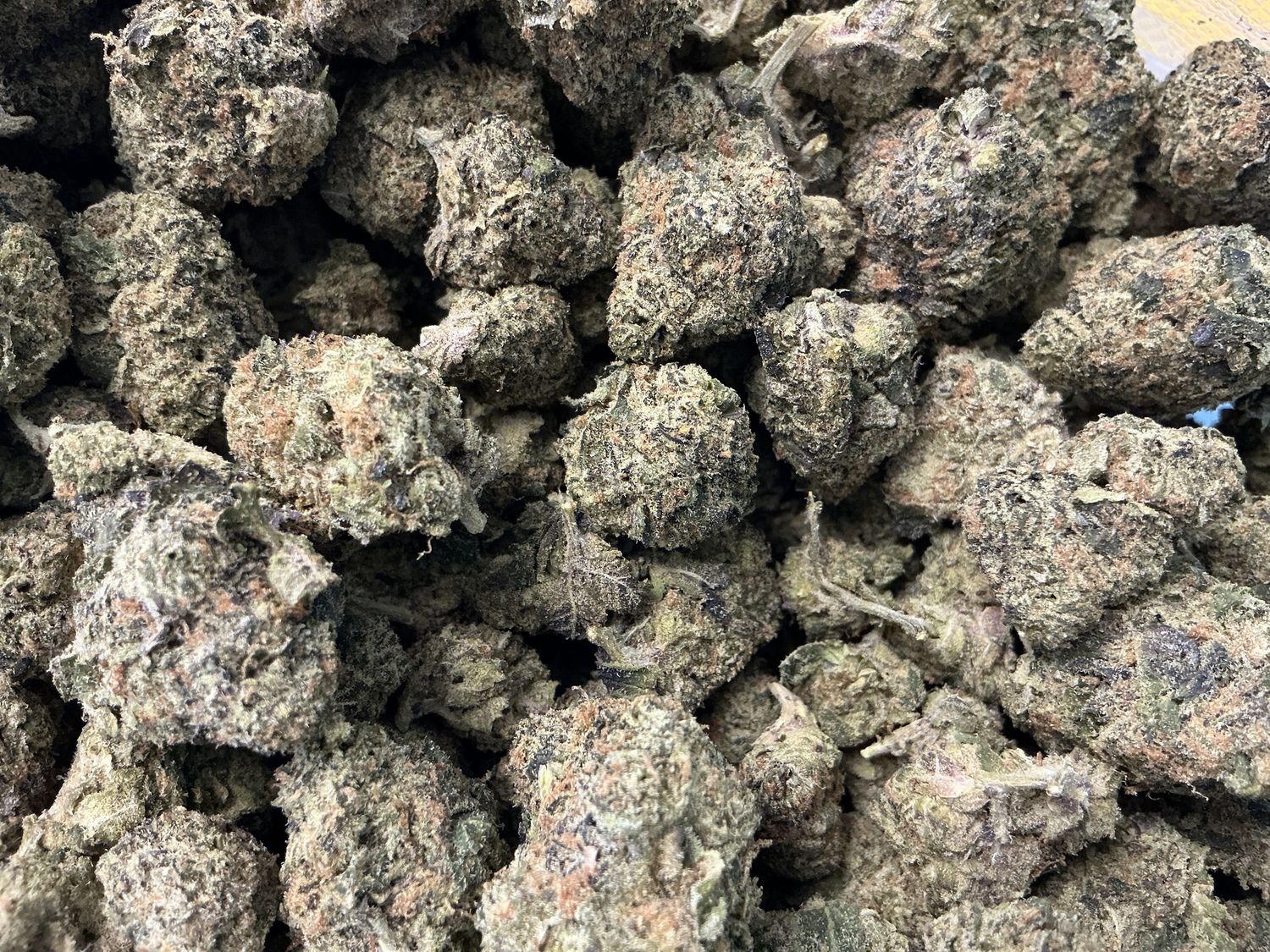 Alien OG