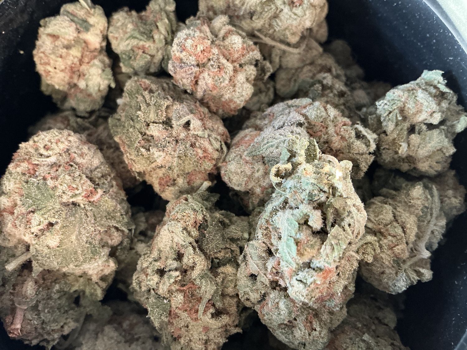 Blue Dream